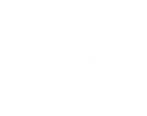 Escola Automação
